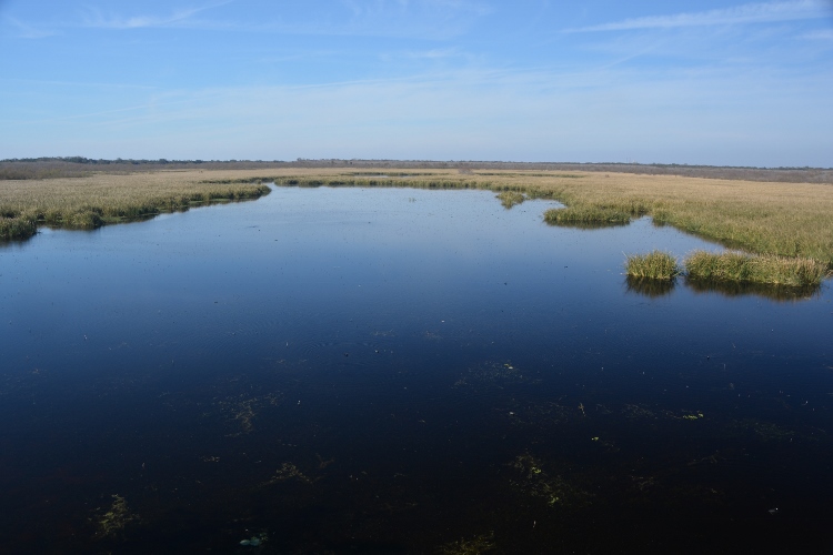 Brazos Bend State Park
